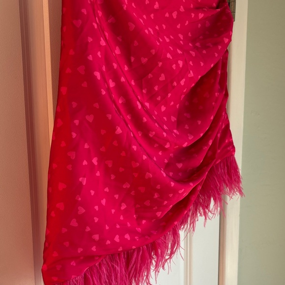 NWT Lovers + Friends “Maisey” Skirt Mini Pink Heart Coquette Ostrich Trim Size M - Picture 7 of 8